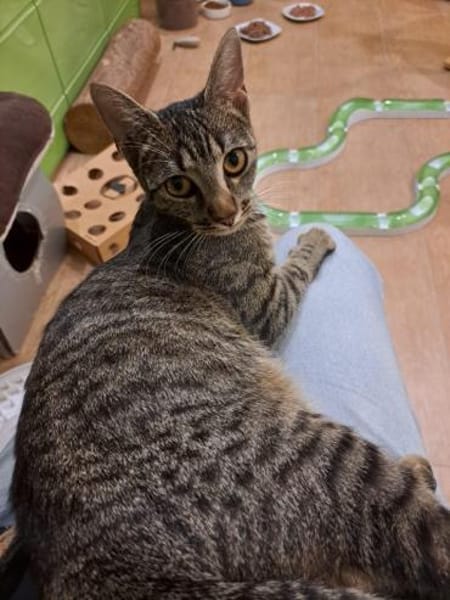 Mama und Tochter suchen ein Zuhause