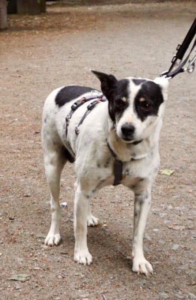 Marion, lernwillig, freundlich, aktiv