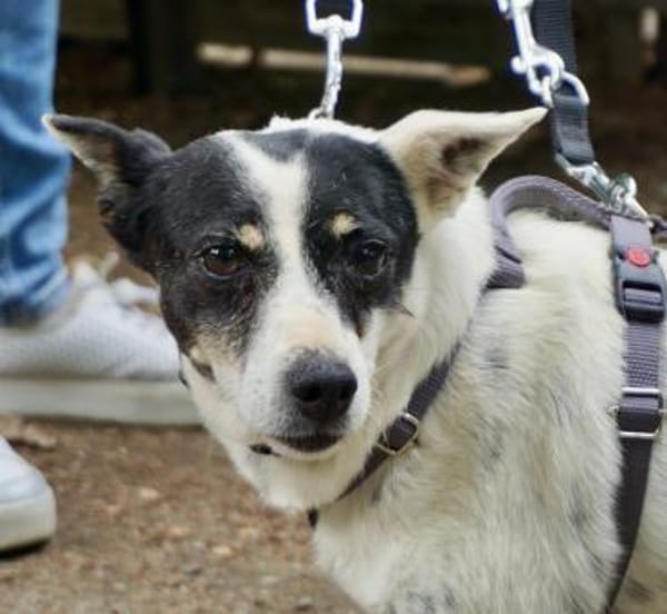 Marion, lernwillig, freundlich, aktiv