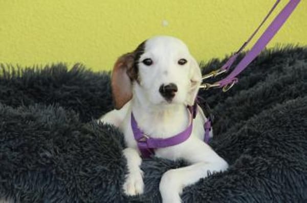 Relina sucht ihre Menschen...