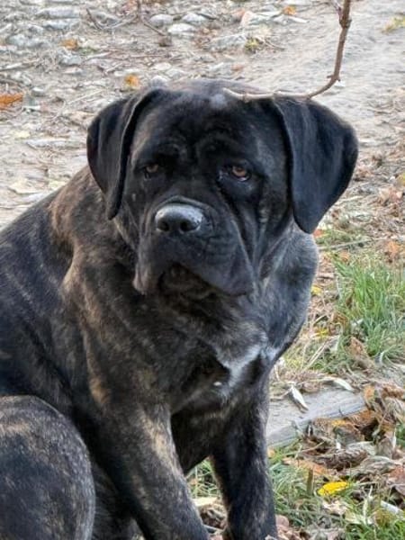 Ich heiße Stella ...