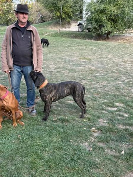 Ich heiße Stella ...