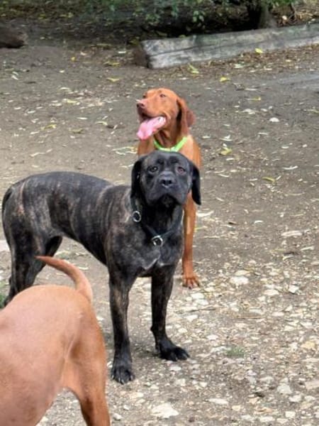 Ich heiße Stella ...