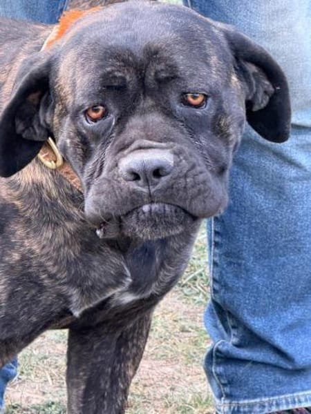 Ich heiße Stella ...