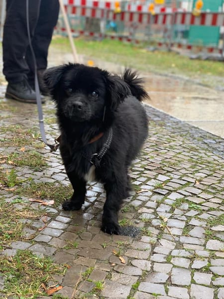 Nico hofft auf sein HAPPY-END