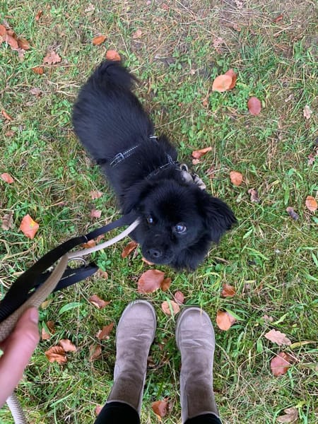 Nico hofft auf sein HAPPY-END