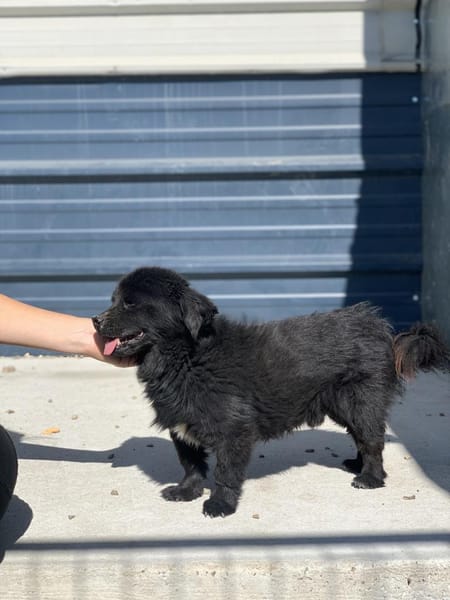 Nico hofft auf sein HAPPY-END