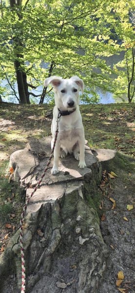 💛Thora💛sucht erfahrenes Zuhause