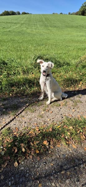 💛Thora💛sucht erfahrenes Zuhause