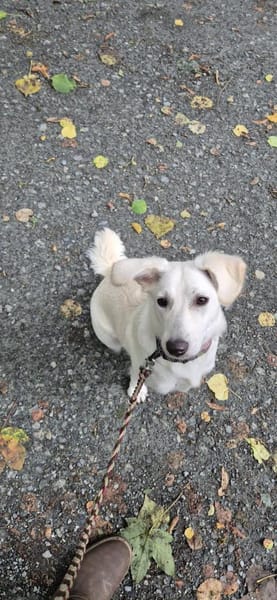 💛Thora💛sucht erfahrenes Zuhause