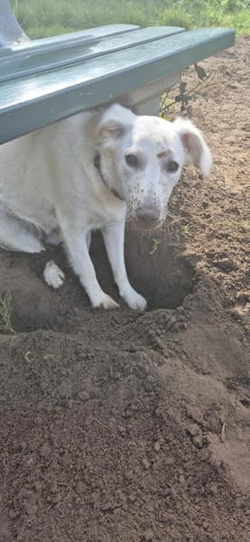 💛Thora💛sucht erfahrenes Zuhause