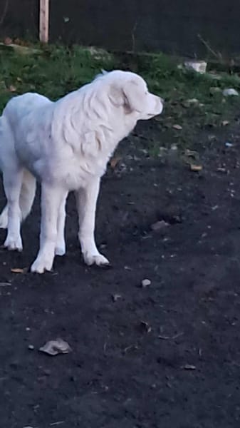 Joy, auf der Suche nach dem Glück