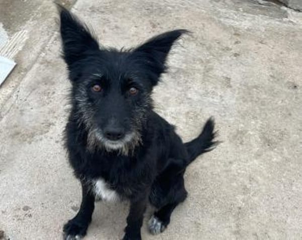 NINA - lieb und freundlich