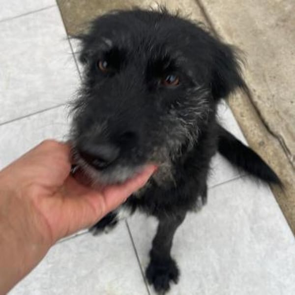 NINA - lieb und freundlich