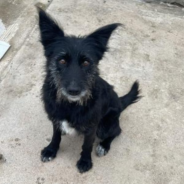 NINA - lieb und freundlich