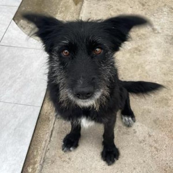 NINA - lieb und freundlich