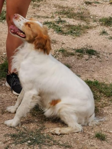 Alma  -  war ganz allein unterwegs