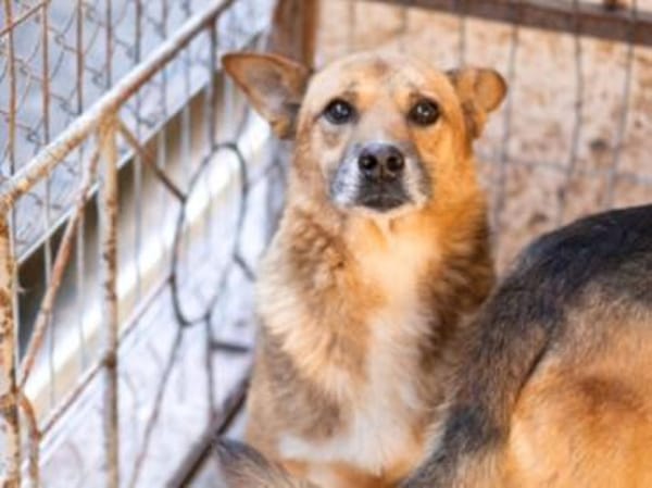 Amadou sucht seine Menschen