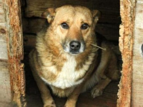 Amadou sucht seine Menschen