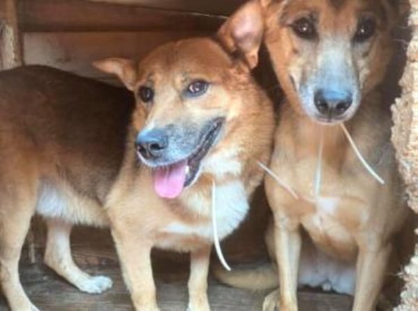 Amadou sucht seine Menschen