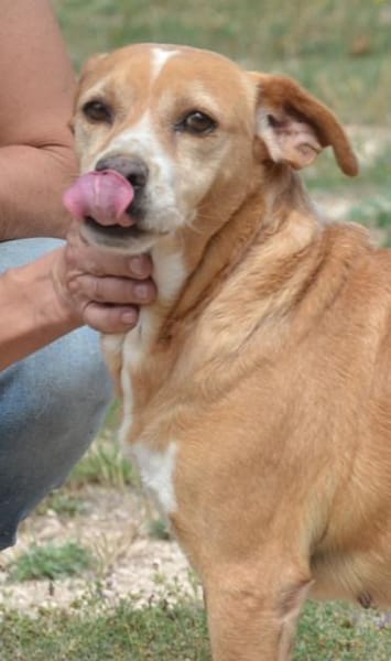 Estrella II - freundlich und offen