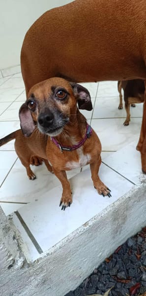 NANY n'attend que vous !!!