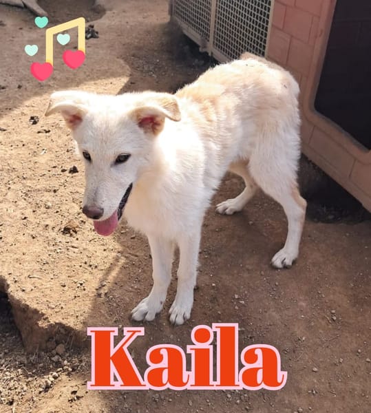 KAILA nata ad Aprile ‘25