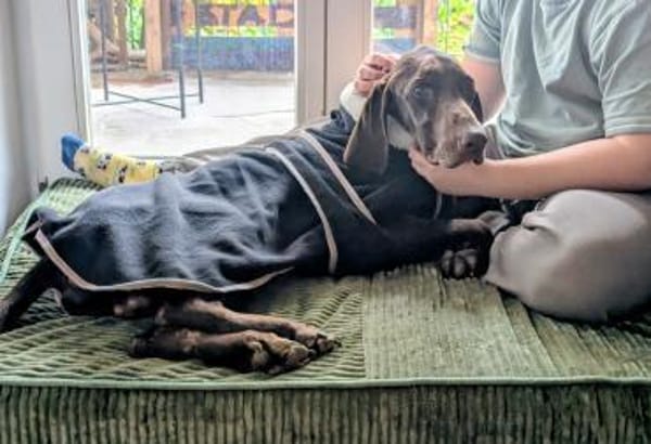 🧡Altos - in Deutschland zur Pflege