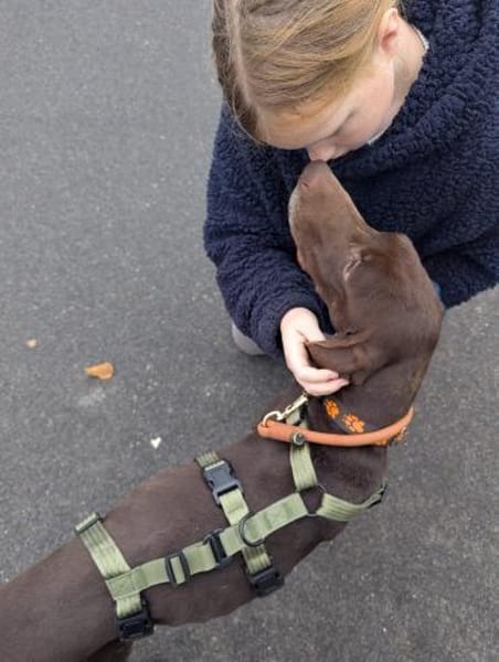 🧡Altos - in Deutschland zur Pflege