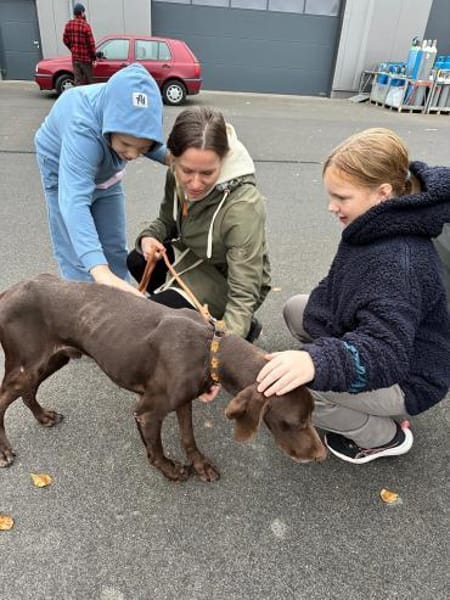🧡Altos - in Deutschland zur Pflege