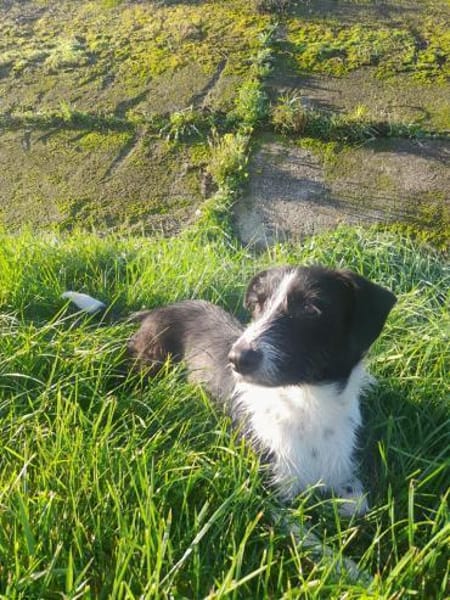 Atos ein trolliges Kerlchen