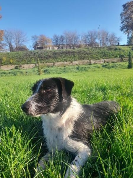 Atos ein trolliges Kerlchen