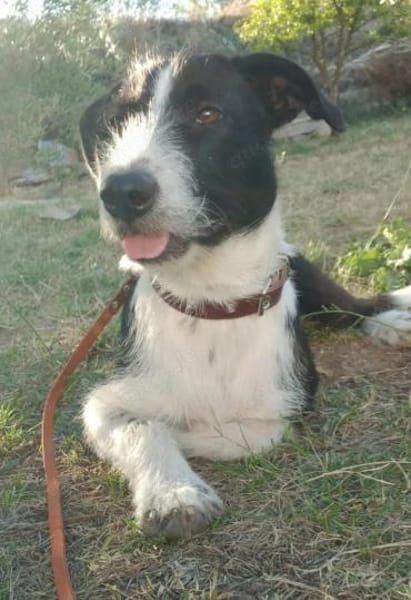 Atos ein trolliges Kerlchen