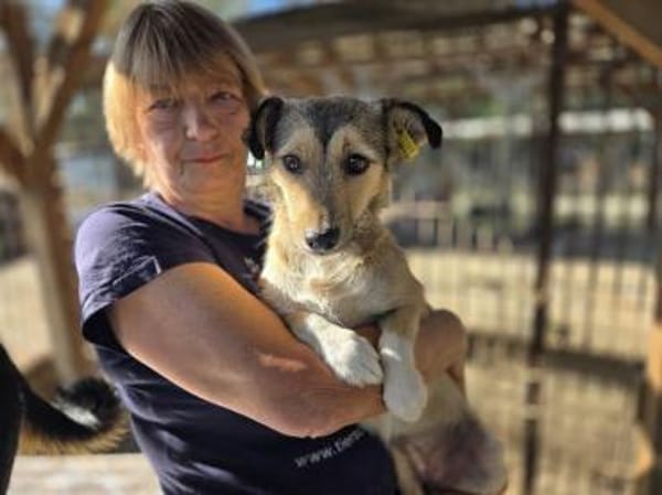 PEPPI-zauberhafte, wunderschöne J.Hündin