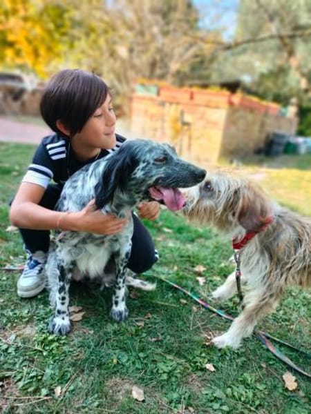 🧡Lola - in Deutschland zur Pflege