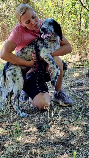 🧡Lola - in Deutschland zur Pflege