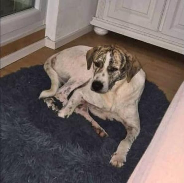 Axel, auf der Suche nach Glück