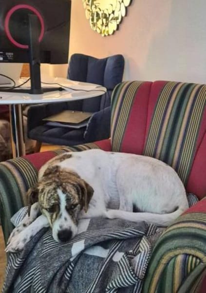 Axel, auf der Suche nach Glück