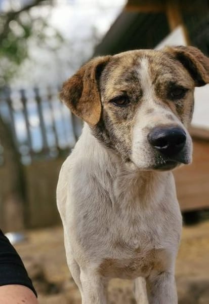 Axel, auf der Suche nach Glück