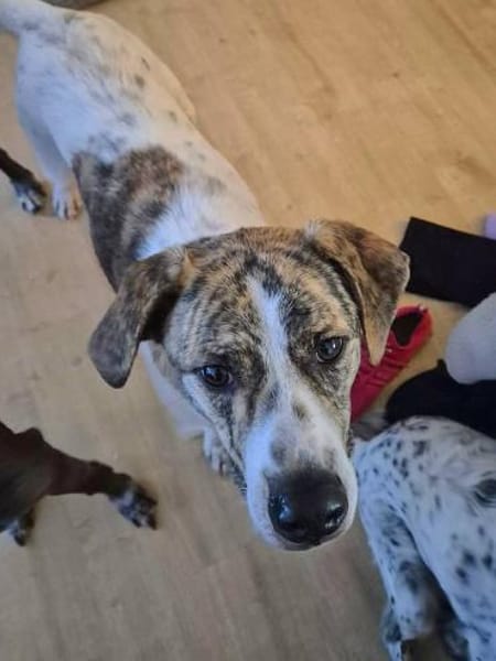 Axel, auf der Suche nach Glück