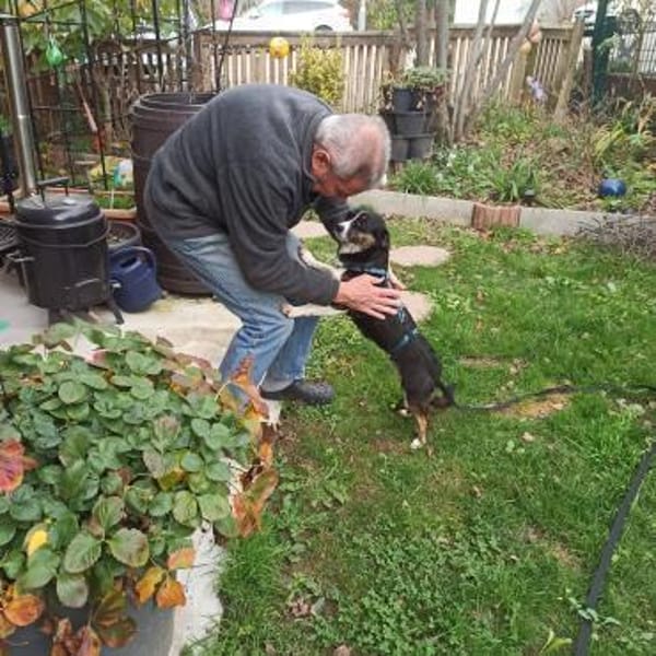 Kleine Lina🌺 sucht liebevolles Heim