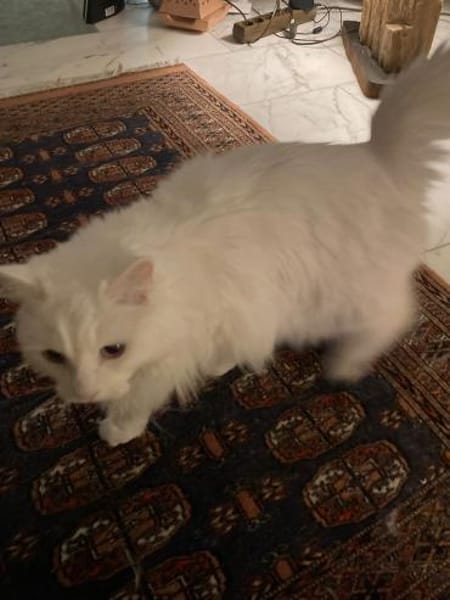 WILMA & BETTY suchen ihre Zukunft