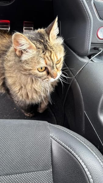 WILMA & BETTY suchen ihre Zukunft