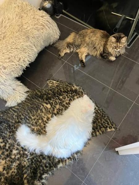 WILMA & BETTY suchen ihre Zukunft