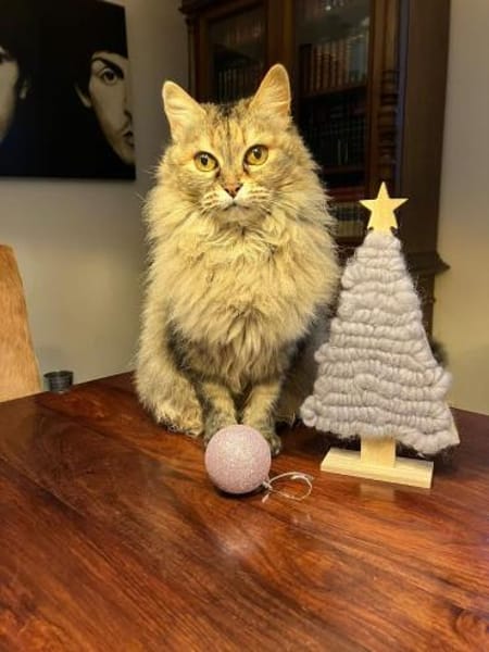 WILMA & BETTY suchen ihre Zukunft