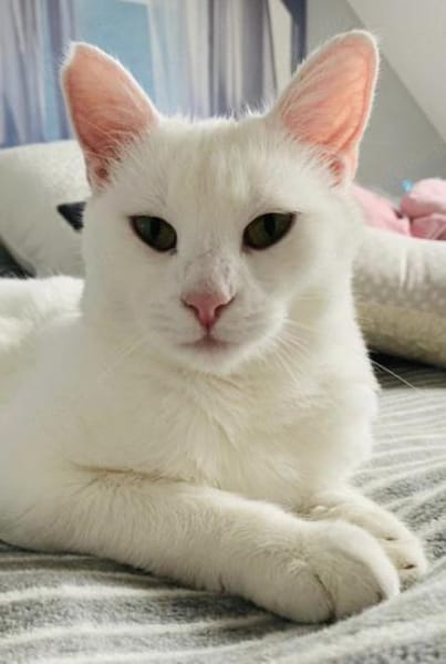 Geschwister Frieda und Mona