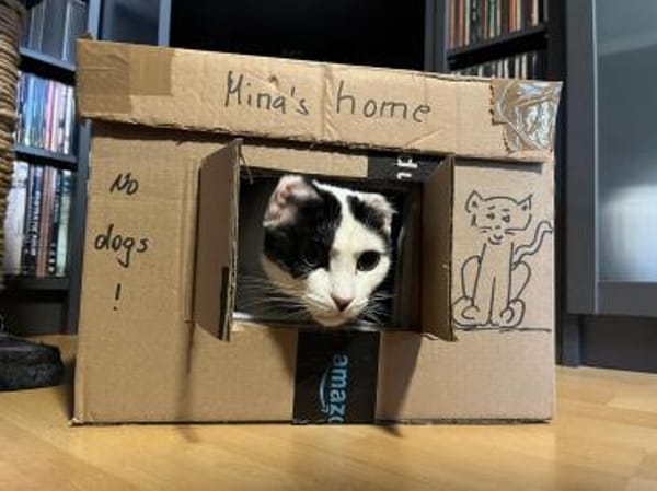 Süße MINA wartet auf ihr 4-ever-Home