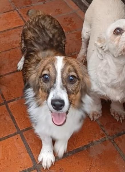 Lilli🧡🧡🧡schönes Plätzchen gesucht