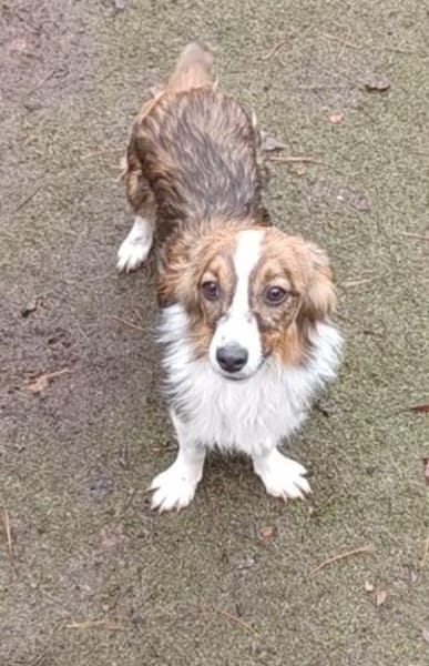 Lilli🧡🧡🧡schönes Plätzchen gesucht