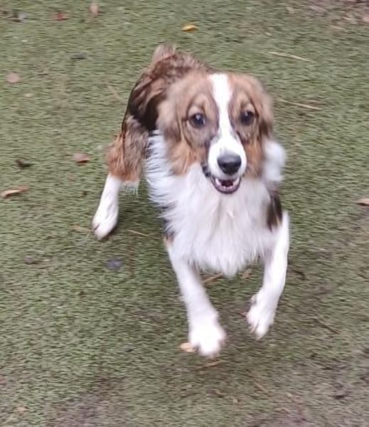 Lilli🧡🧡🧡schönes Plätzchen gesucht